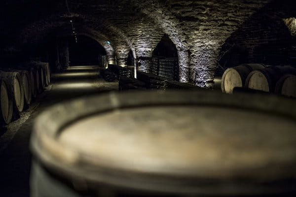 Janvier aux Caves Patriarche : quand l'hiver révèle l'âme de la Bourgogne