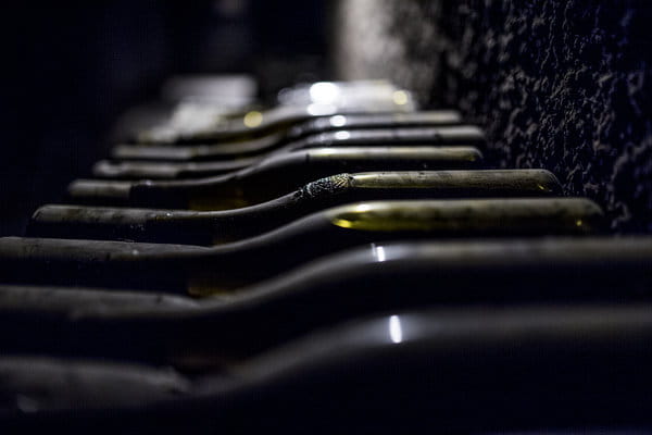 February at Caves Patriarche: After Saint Vincent's Day, the Time for Memory